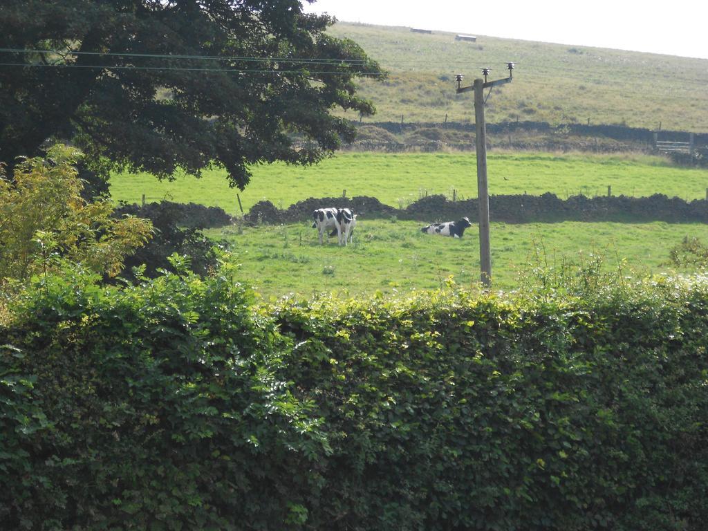 The Shady Oak B&B Whaley Bridge Bagian luar foto